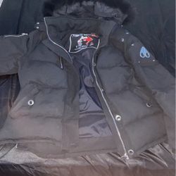 XL Moose 