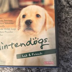 Nintendo’s Nintendo DS game