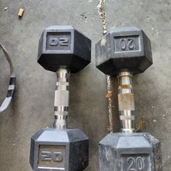 20 Pound Weights 