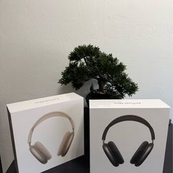 Apple headphones