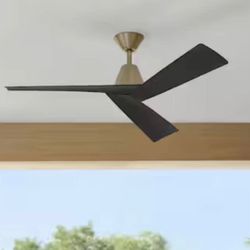 Indoor Outdoor Outdoor Ceiling Fan
