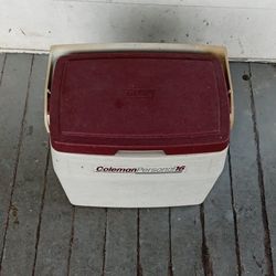 Colman 16 QT Cooler