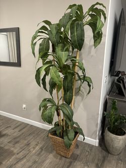 Artificial Palm Tree