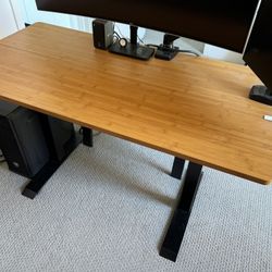 Fezibo Electric Standing Desk
