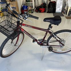 Raleigh Bicycle - Multi Speed:  Very nice condition 