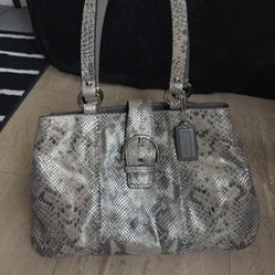 Coach Python Bag