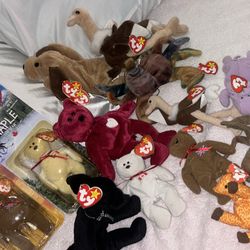 **EXTREMELY RARE BEANIE BOO COLLECTION**