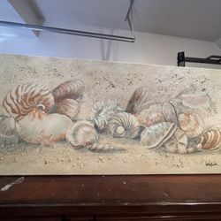 Sea Shells Canvas 