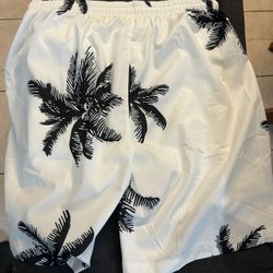 Swim Trunks