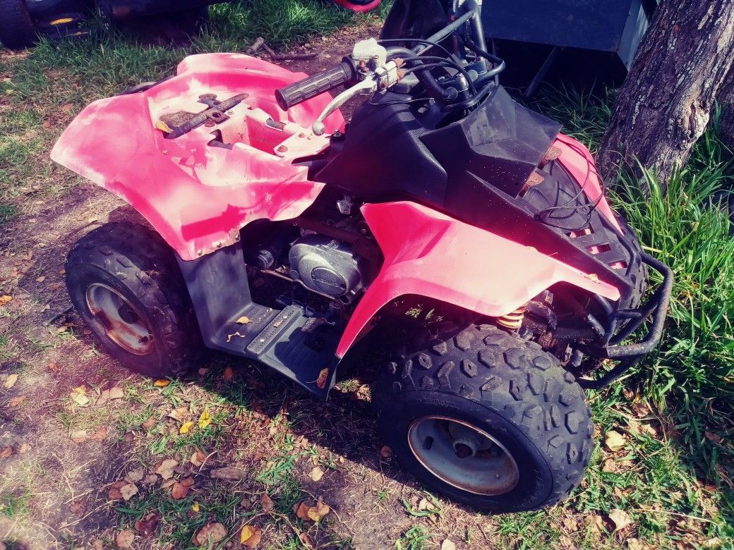 110cc Kazuma kids ATV will need carb cleaned no seat 125 cash firm does not run 