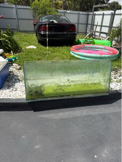 MULTIPLE FISH TANKS