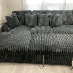 Large 1 Yr. Old Sectional 