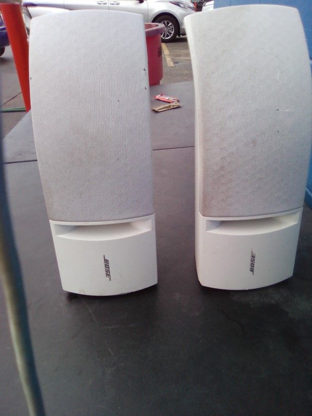 Bose Indoor/Outdoor Speakers