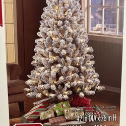 Christmas Tree 