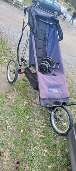 Disability Stroller 