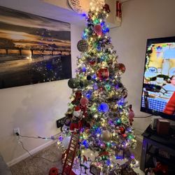 En Excelentes Condiciones