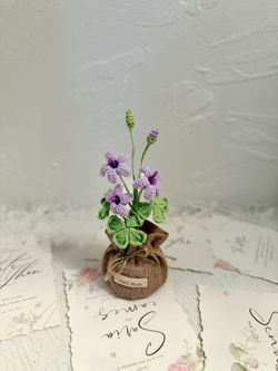 Crochet Oxalis Flower Pot