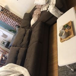 Brown Couch 