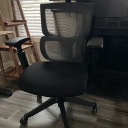 Flexispot Grey And Black C7 Chair