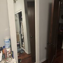 Door Mirror