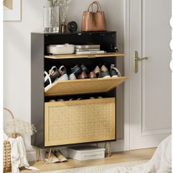 Shoe Cabinet, Shoe Storage Cabinet for Entryway Shoes Organizer Freestanding Organizer with 2 Flip Drawers, 3-tie Narrow Shoe Rack Cabinet, Rattan Oak