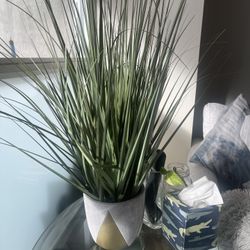 Fake Plant With Vase 