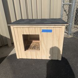 Dog House 