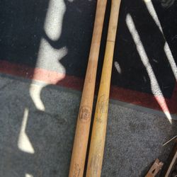 Softball & Little League Bat