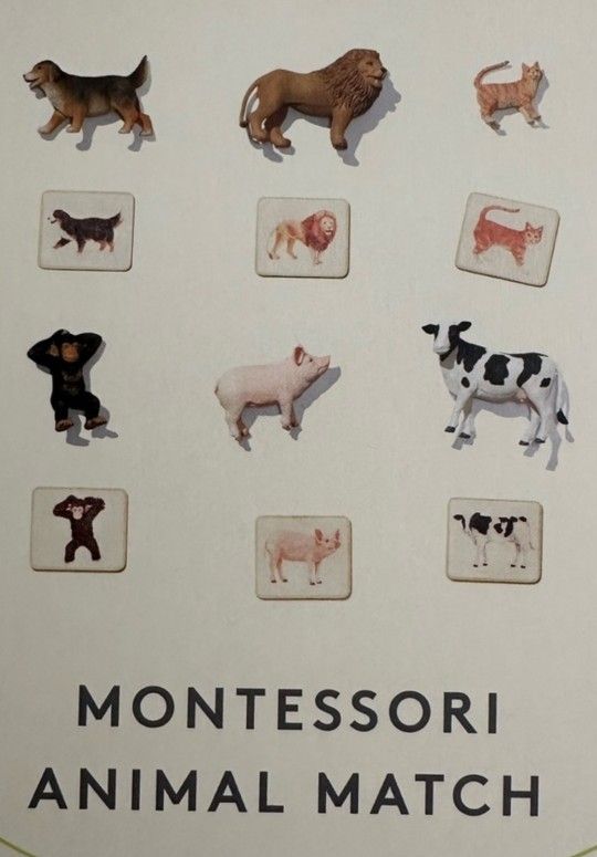 Montessori Lovevery Matching Toys