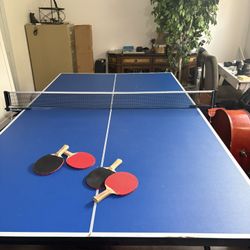 Ping Pong Table
