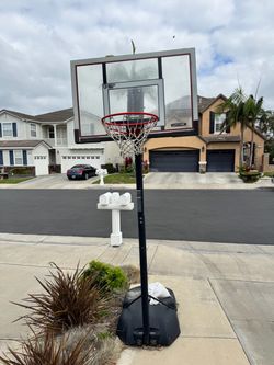 Lifetime Basketball Hoop