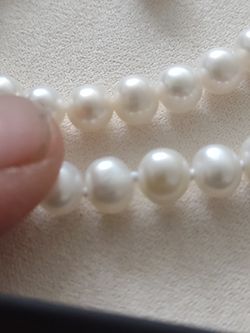 Set Of Saltwater Pearls