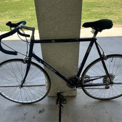 Trek Men’s Road bike