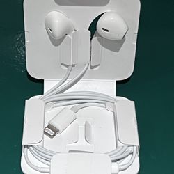 Apple iPhone Airbuds (wired)