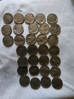 31 pieces of 5 cents buffalo head different years