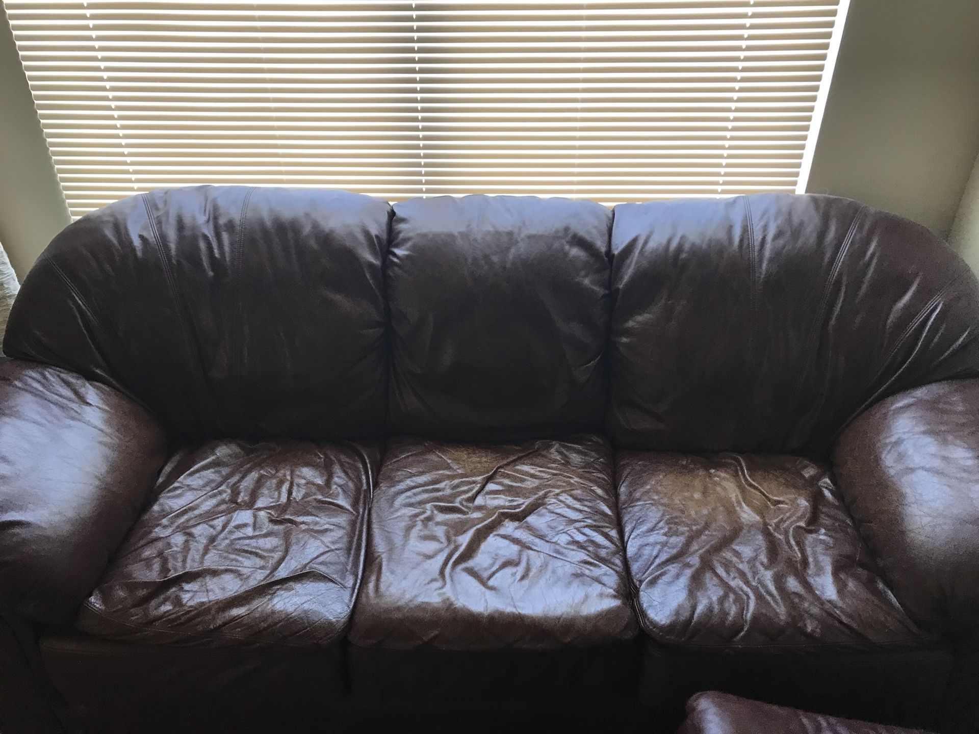 Sofa Mart Leather Care Kit Baci Living Room