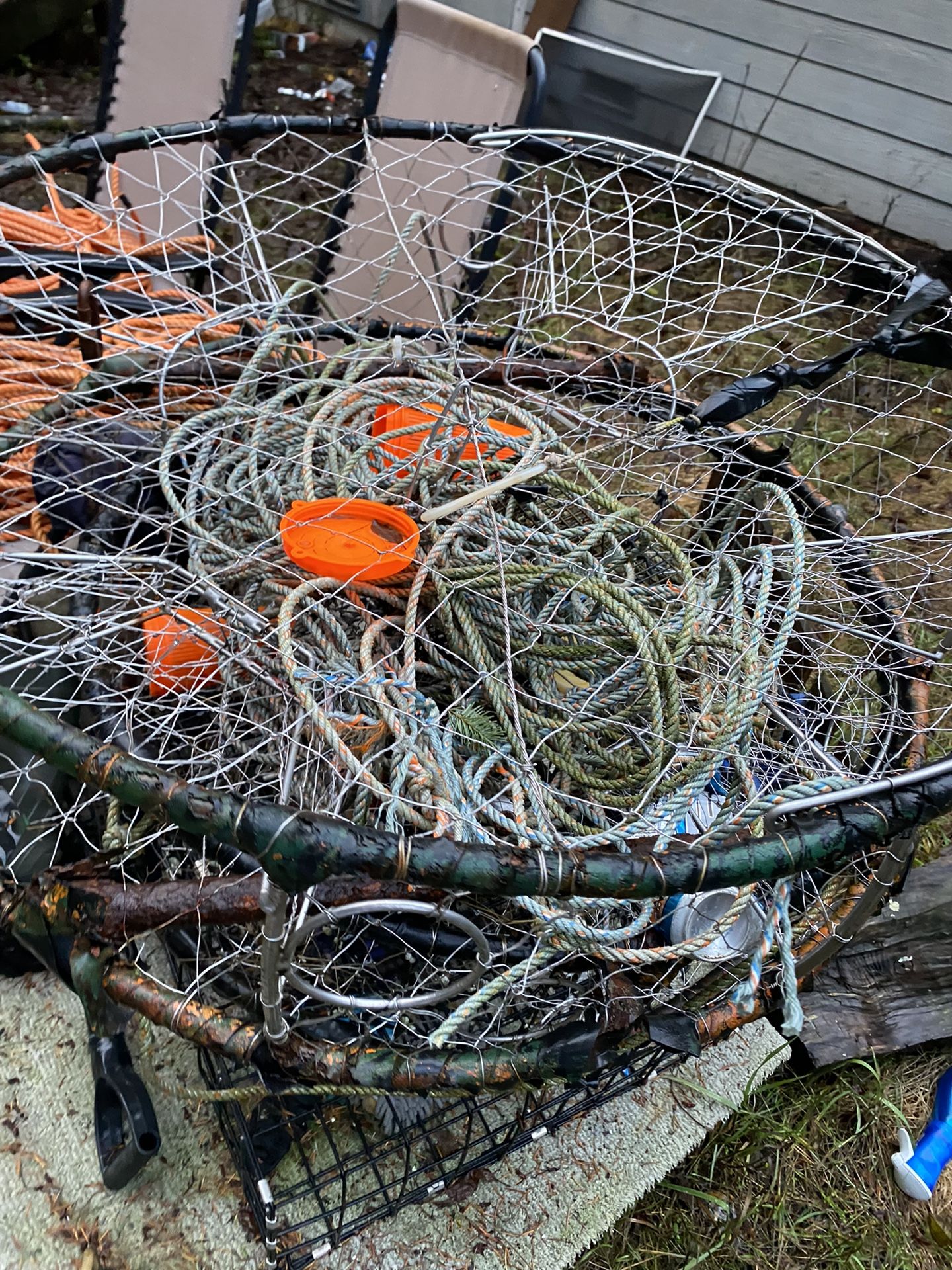 Crab Traps 