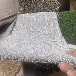 Grey Carpet