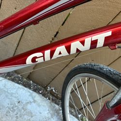 Giant Bike 