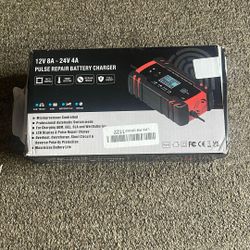 Battery Repair Charger 