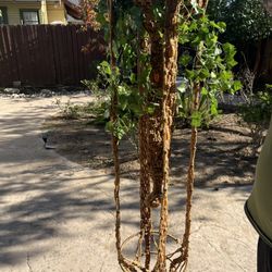 Vintage Macrame Hanging Plant Holde