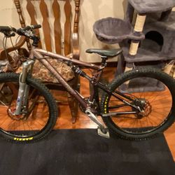 Santa Cruz Blur(Brown)