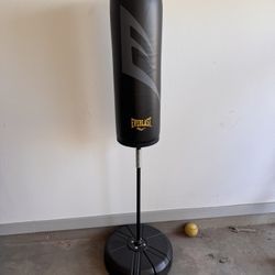Everlast Stand-Up Punching Bag