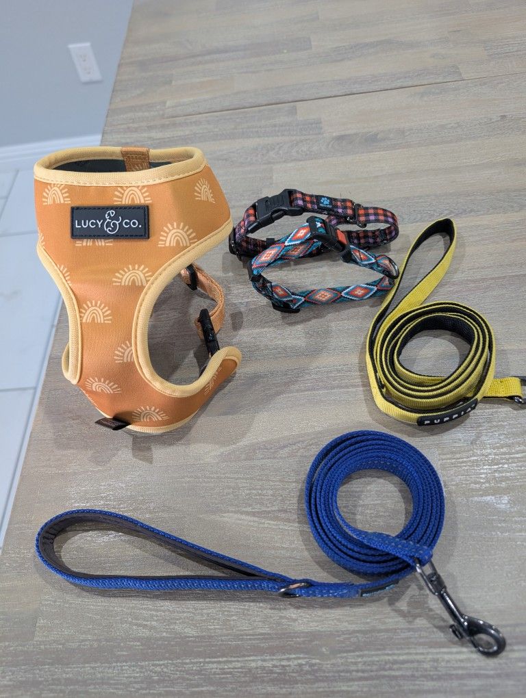 Dog Collars And Leashes