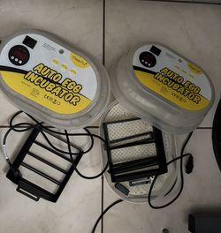 AUTO EGG INCUBATOR