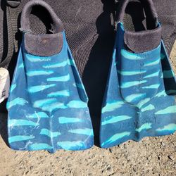 DaFin Swim Fins