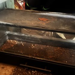 25gal Reptile Tank