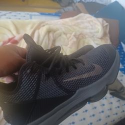 Lebron james shoes 10.5