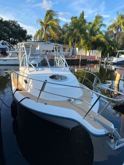 Bote seafox