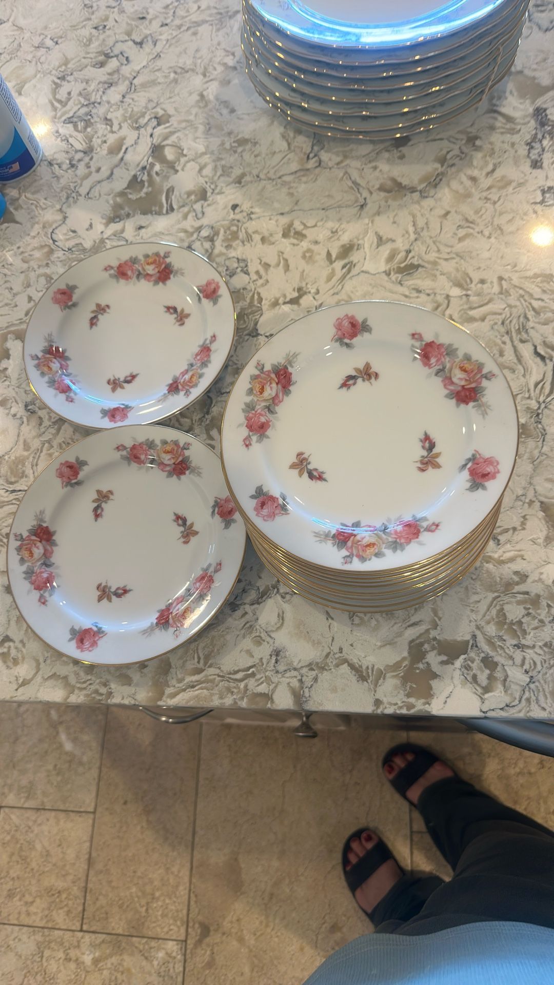 Vintage Plates X12